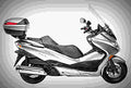 Honda Forza Forza EX 2009 1 motorbike A4 Photo Print
