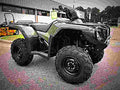 Honda FourTrax Foreman Rubicon 4x4 2018 2 motorbike A4 Photo Print
