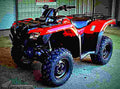 Honda FourTrax Rancher 4x4 2017 4 motorbike A4 Photo Print