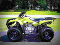Honda FourTrax Recon 2017 2 motorbike A4 Photo Print