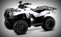 Honda FourTrax Recon 2018 4 motorbike A4 Photo Print