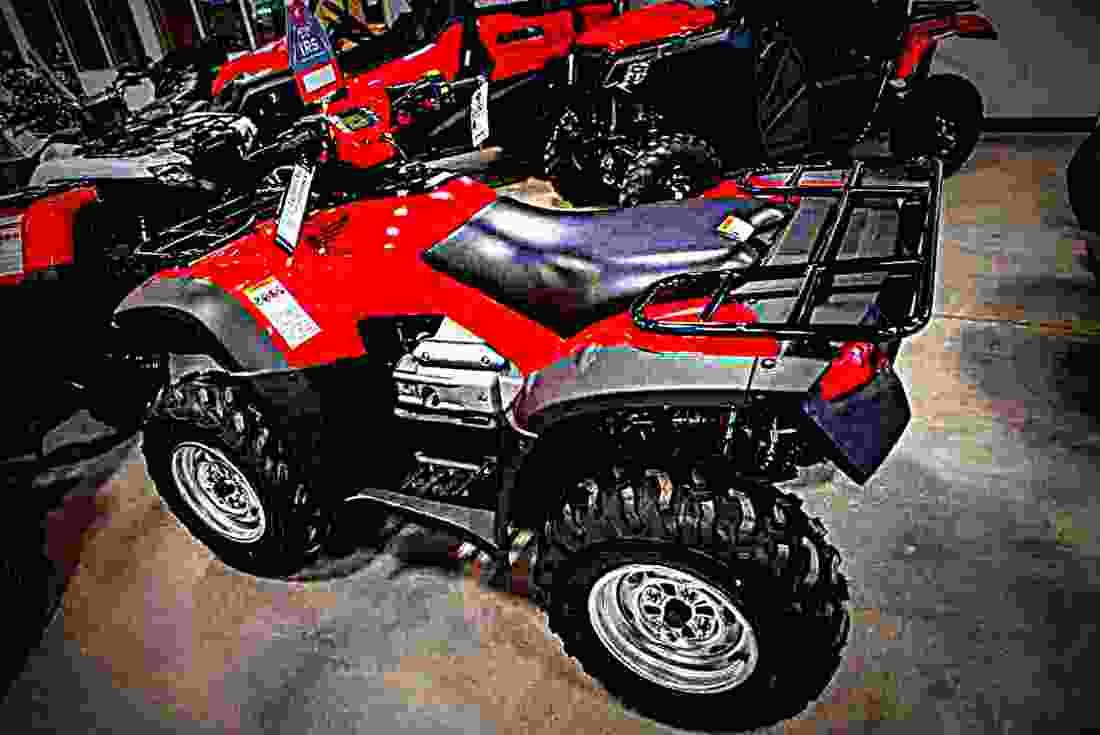 Honda FourTrax Rincon 2018 2 motorbike A4 Photo Print