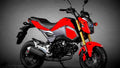 Honda Grom 2017 2 motorbike A4 Photo Print