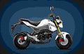 Honda Grom 2017 3 motorbike A4 Photo Print