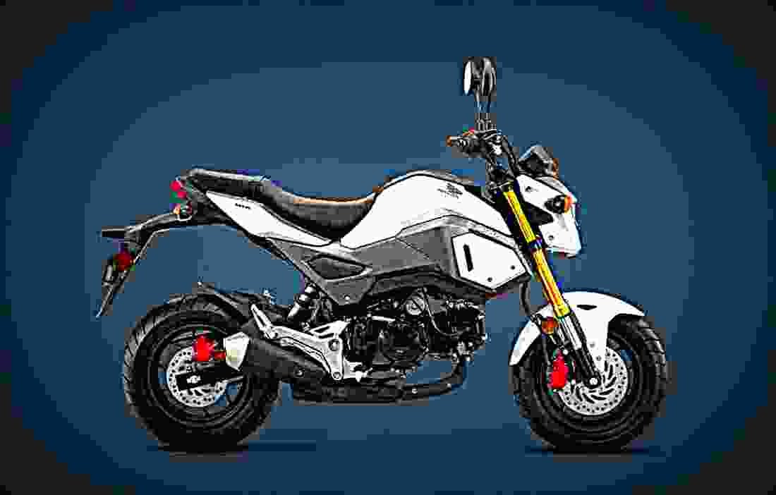 Honda Grom 2017 3 motorbike A4 Photo Print