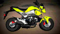 Honda Grom 2018 1 motorbike A4 Photo Print