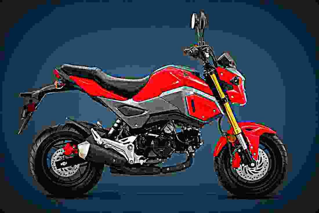 Honda Grom ABS 2018 1 motorbike A4 Photo Print