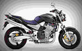 Honda Hornet 1999 2 motorbike A4 Photo Print