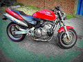 Honda Hornet 1999 5 motorbike A4 Photo Print