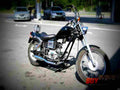 Honda Jazz 50 Jazz 50 2 motorbike A4 Photo Print
