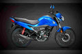 Honda Livo 110 2017 3 motorbike A4 Photo Print