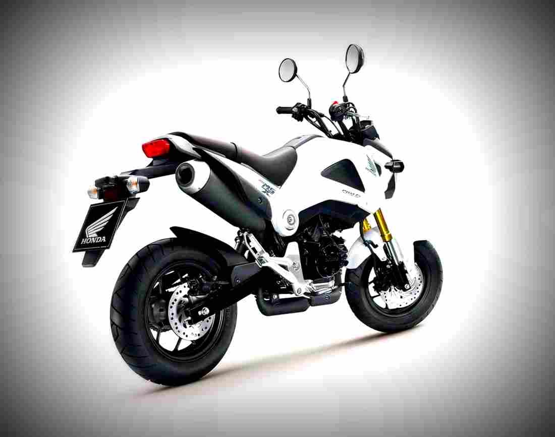 Honda MSX125 125cc 2 motorbike A4 Photo Print