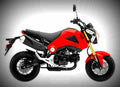 Honda MSX125 125cc 3 motorbike A4 Photo Print