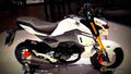 Honda MSX125 2017 3 motorbike A4 Photo Print