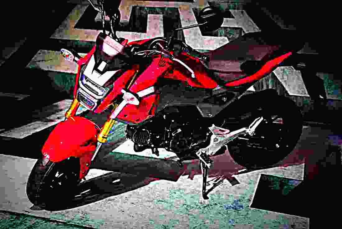 Honda MSX125 2017 4 motorbike A4 Photo Print