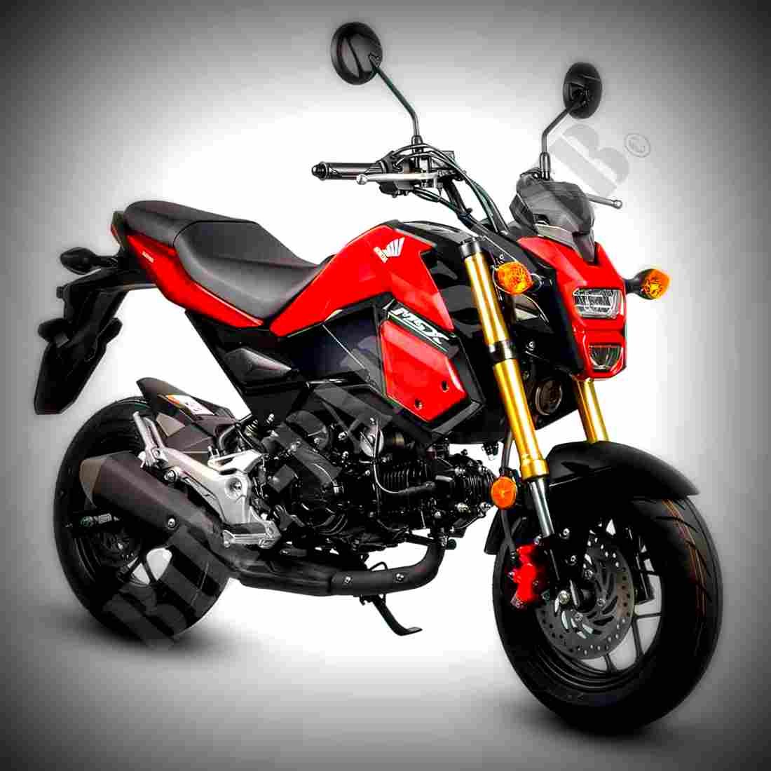 Honda MSX125 2018 4 motorbike A4 Photo Print