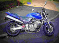 Honda Magna 250 2002 2 motorbike A4 Photo Print