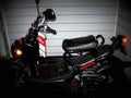 Honda NPS50 NPS50 (Ruckus) 6 motorbike A4 Photo Print