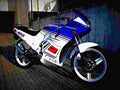 Honda NSR 50 NSR 50 5 motorbike A4 Photo Print