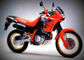 Honda NX 250 1988 4 motorbike A4 Photo Print
