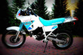Honda NX 250 1992 2 motorbike A4 Photo Print