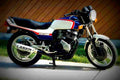 Honda NX 250 (reduced effect) 1990 1 motorbike A4 Photo Print