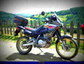 Honda NX 650 Dominator 1994 3 motorbike A4 Photo Print