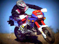 Honda NX 650 Dominator 1995 1 motorbike A4 Photo Print