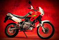 Honda NX 650 Dominator 1996 2 motorbike A4 Photo Print