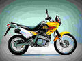Honda NX 650 Dominator 1997 6 motorbike A4 Photo Print