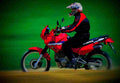 Honda NX 650 Dominator 2000 2 motorbike A4 Photo Print