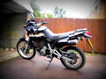Honda NX 650 Dominator 2002 4 motorbike A4 Photo Print