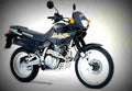 Honda NX 650 Dominator 2002 5 motorbike A4 Photo Print