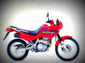 Honda NX 650 Dominator 2003 5 motorbike A4 Photo Print
