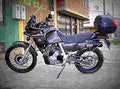 Honda NX 650 Dominator (reduced effect) 1990 6 motorbike A4 Photo Print