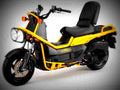 Honda PS250 (Big Ruckus) PS250 1 motorbike A4 Photo Print