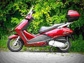 Honda Pantheon FES 150 2006 3 motorbike A4 Photo Print