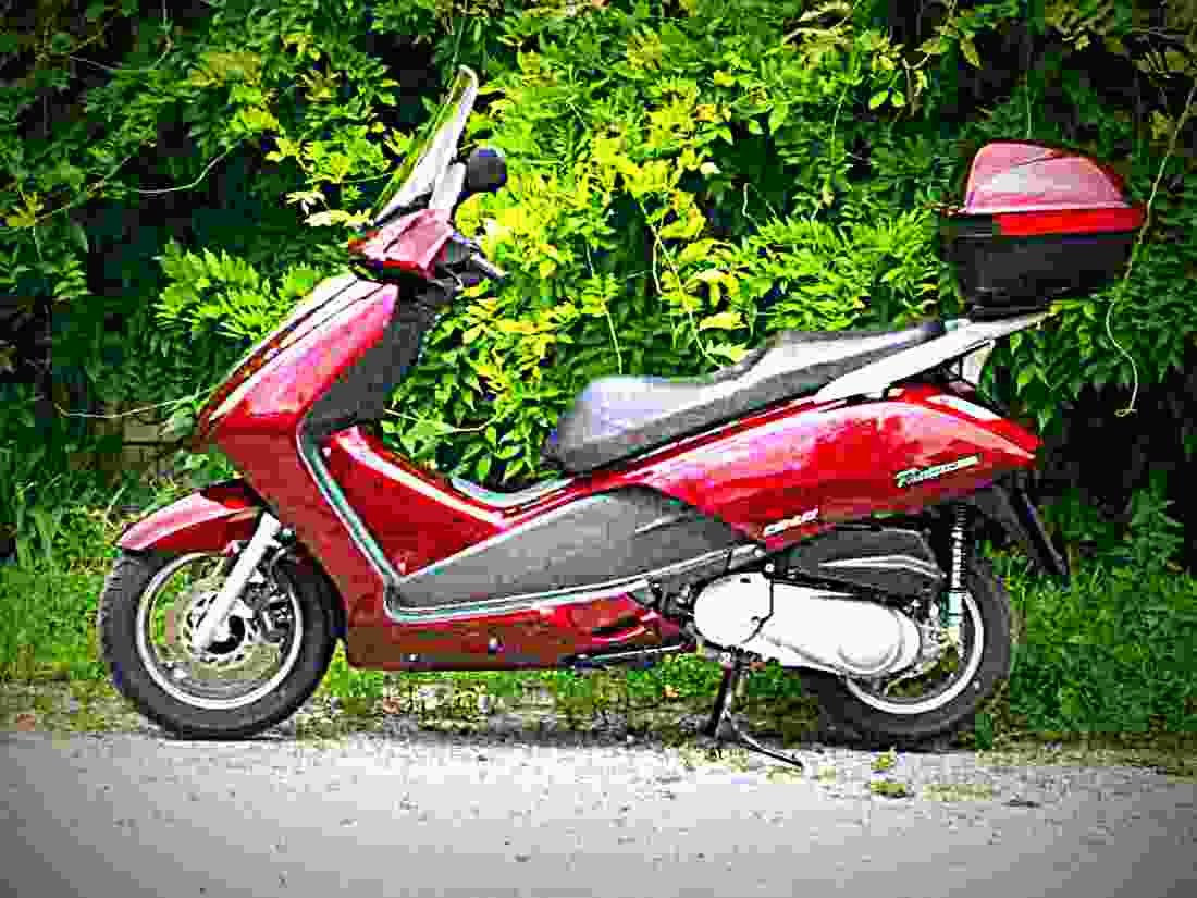 Honda Pantheon FES 150 2006 3 motorbike A4 Photo Print