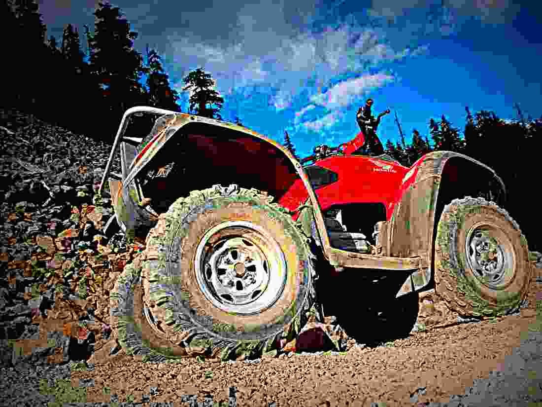 Honda Rincon 2006 1 motorbike A4 Photo Print
