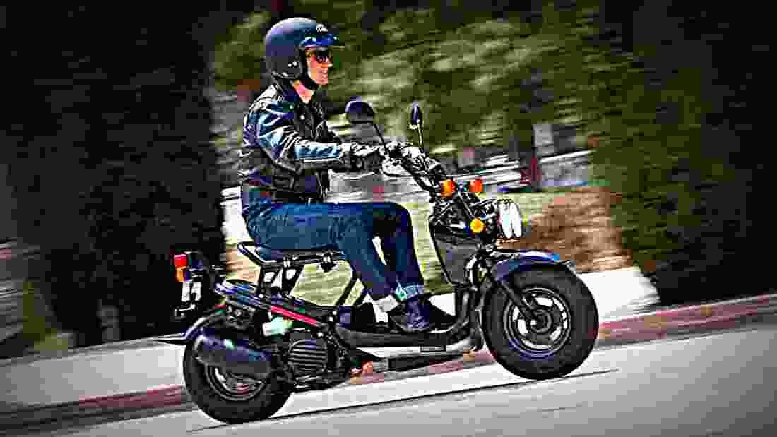 Honda Ruckus 2017 3 motorbike A4 Photo Print