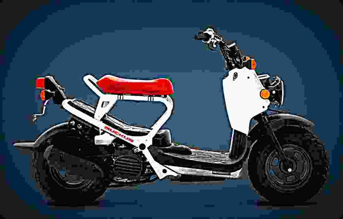 Honda Ruckus 2017 4 motorbike A4 Photo Print