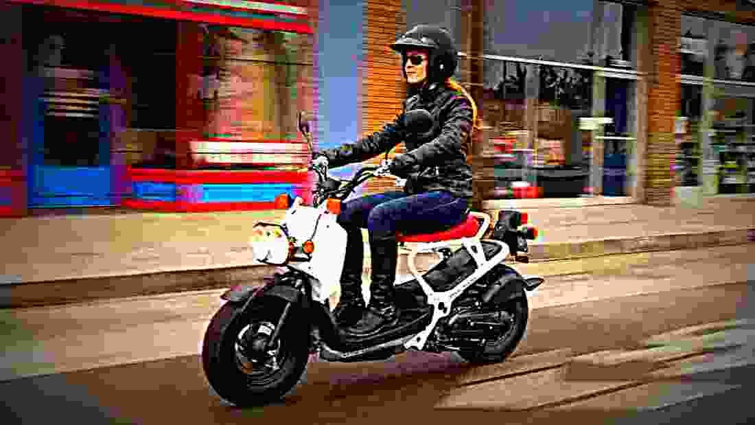 Honda Ruckus 2018 1 motorbike A4 Photo Print