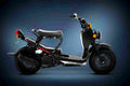 Honda Ruckus 2018 4 motorbike A4 Photo Print
