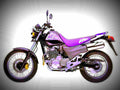 Honda SLR 650 1997 1 motorbike A4 Photo Print