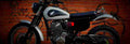 Honda SLR 650 1998 1 825x284 motorbike A4 Photo Print