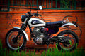 Honda SLR 650 1998 1 motorbike A4 Photo Print
