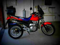 Honda SLR 650 1998 6 motorbike A4 Photo Print