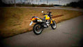 Honda SLR 650 1999 6 motorbike A4 Photo Print