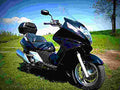 Honda Silver Wing 600 2002 3 motorbike A4 Photo Print