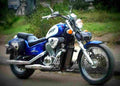 Honda Steed 400 2002 2 motorbike A4 Photo Print